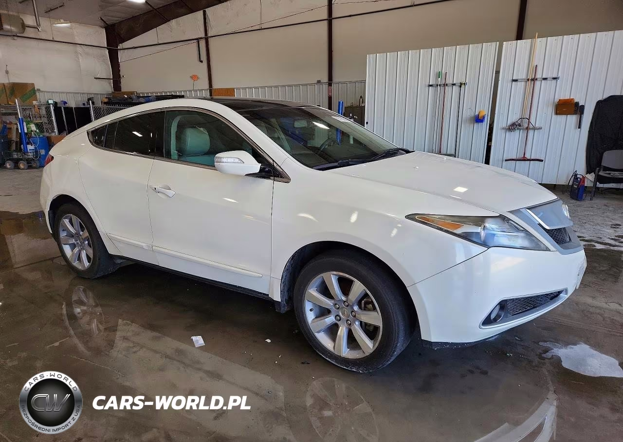 2010 Acura Zdx Advance VIN:2HNYB1H69AH502282 - 4