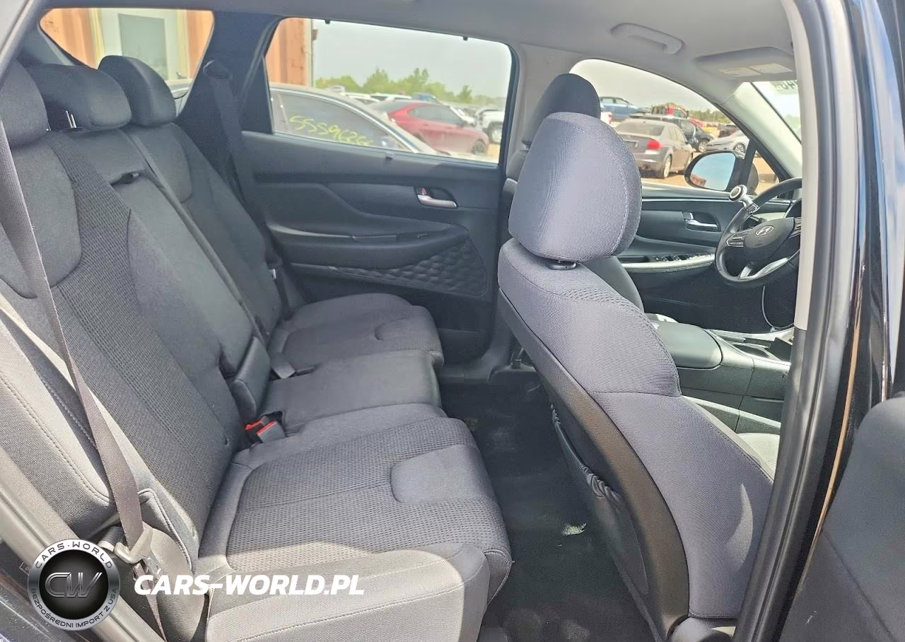 2021 Hyundai Santa Fe Sel VIN:5NMS6DAJ0MH371350 - 10