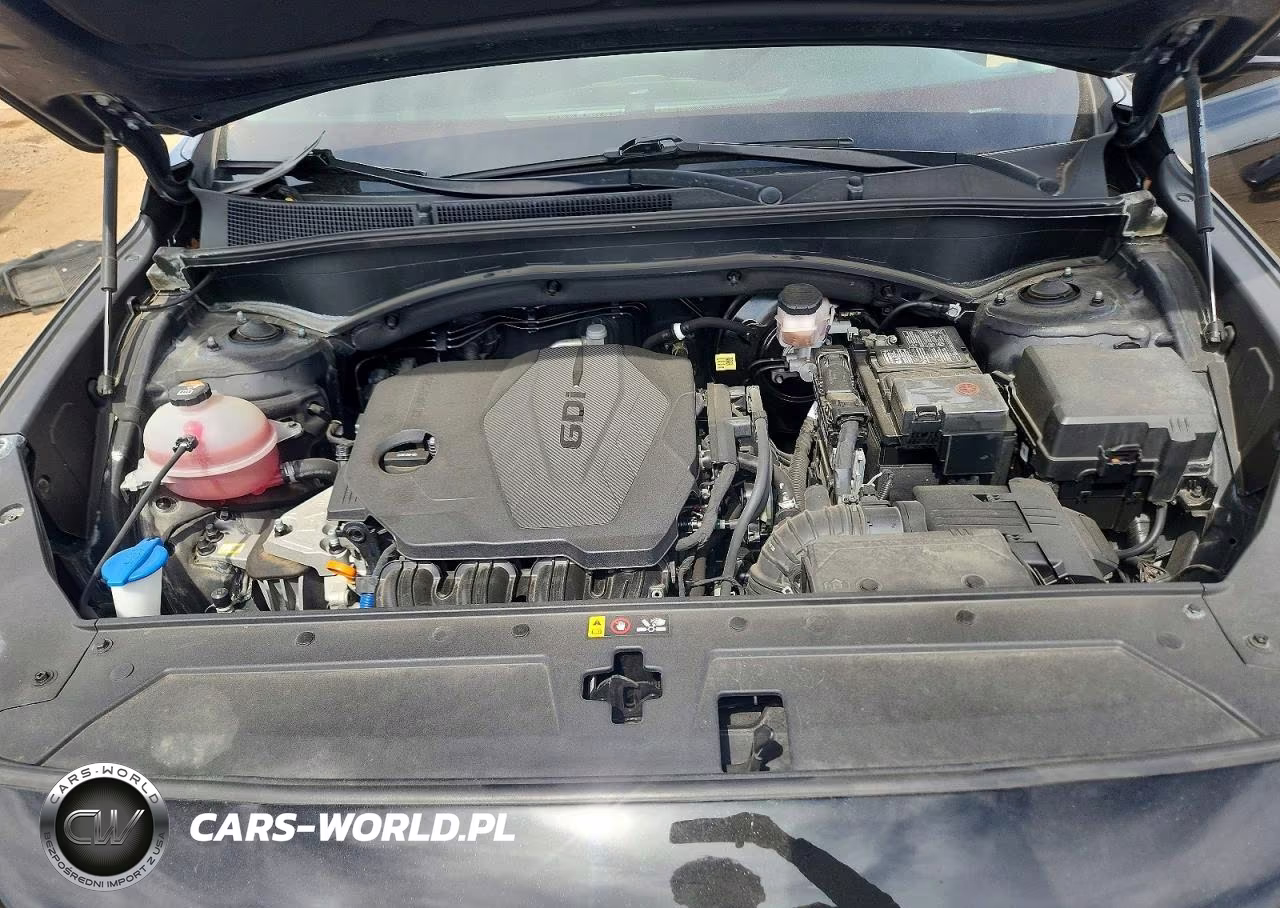 2021 Hyundai Santa Fe Sel VIN:5NMS6DAJ0MH371350 - 11