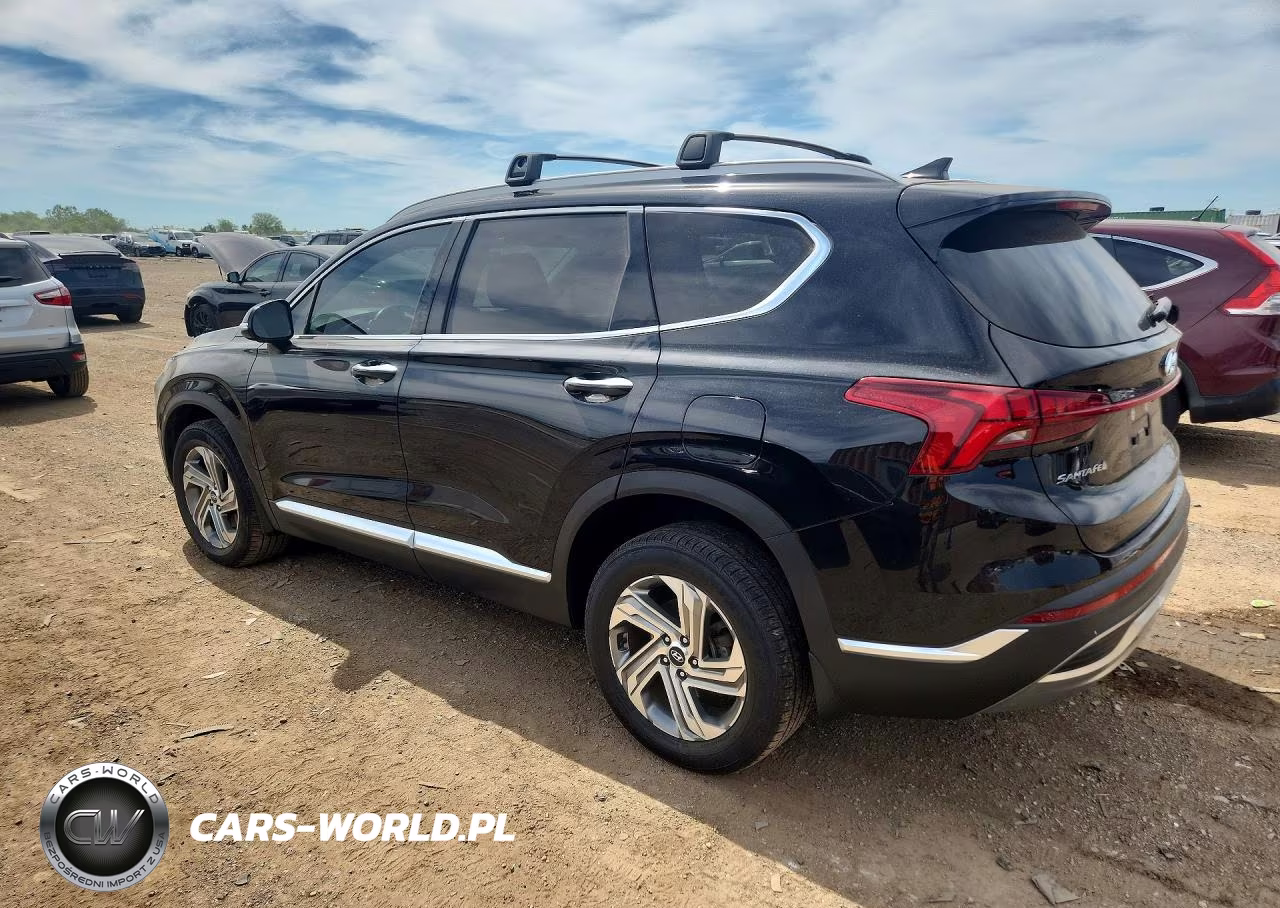 2021 Hyundai Santa Fe Sel VIN:5NMS6DAJ0MH371350 - 2