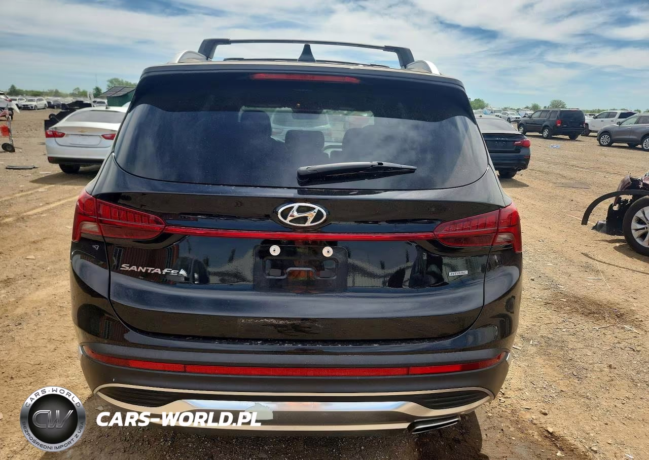 2021 Hyundai Santa Fe Sel VIN:5NMS6DAJ0MH371350 - 6
