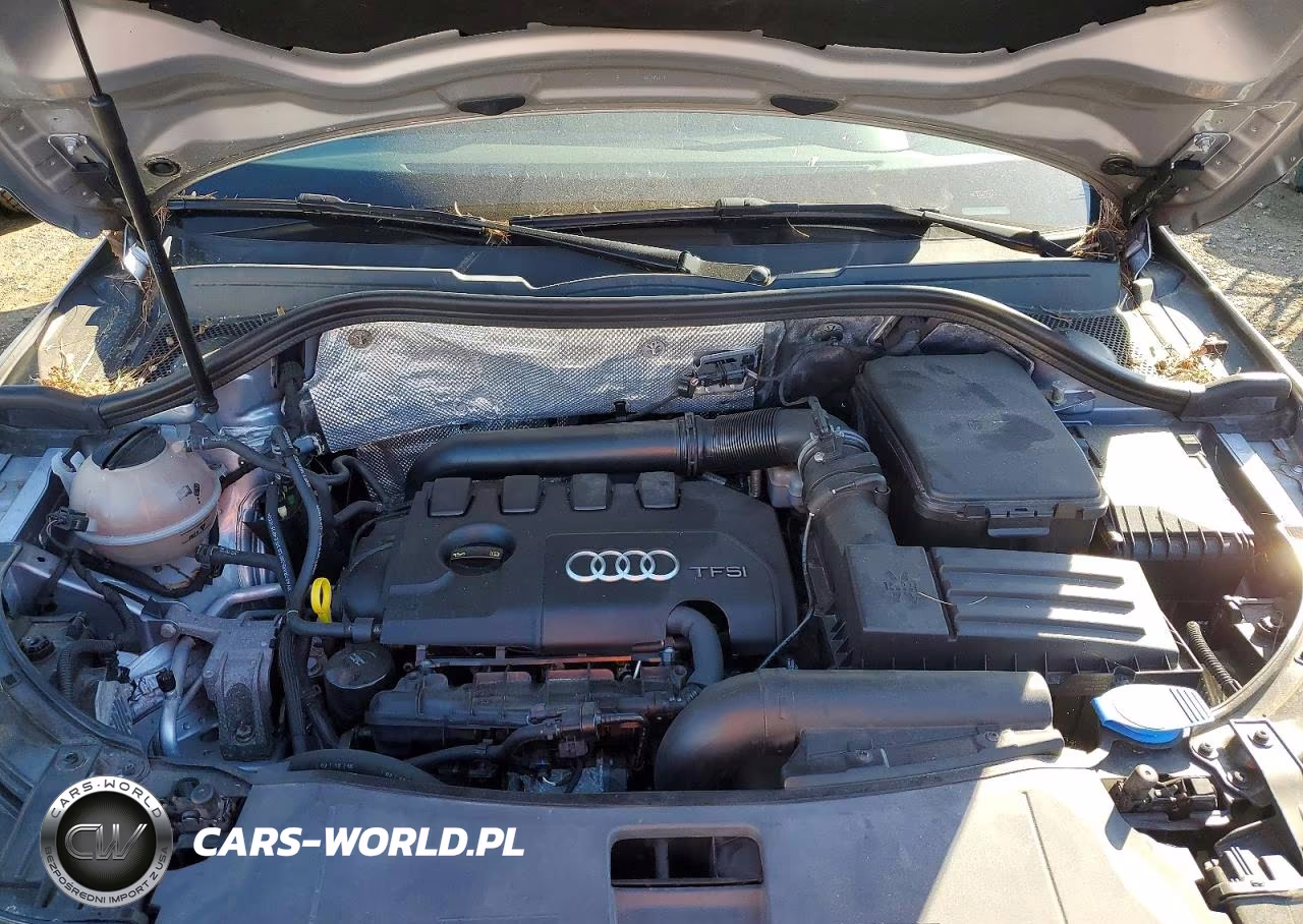 2016 Audi Q3 Premium Plus VIN:WA1EFCFS5GR015494 - 12