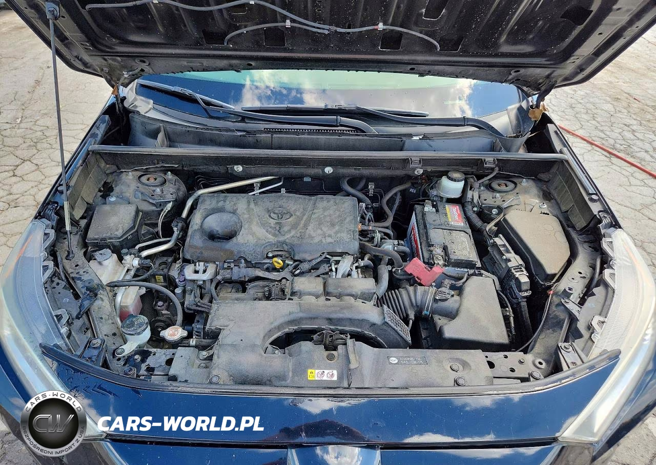 2019 Toyota Rav4 Xle Premium VIN:JTMA1RFV4KD516463 - 12