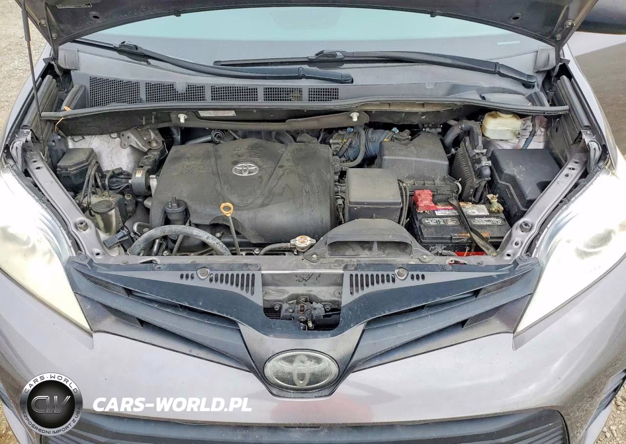 2019 Toyota Sienna L 7-Passenger VIN:5TDZZ3DC0KS969879 - 11