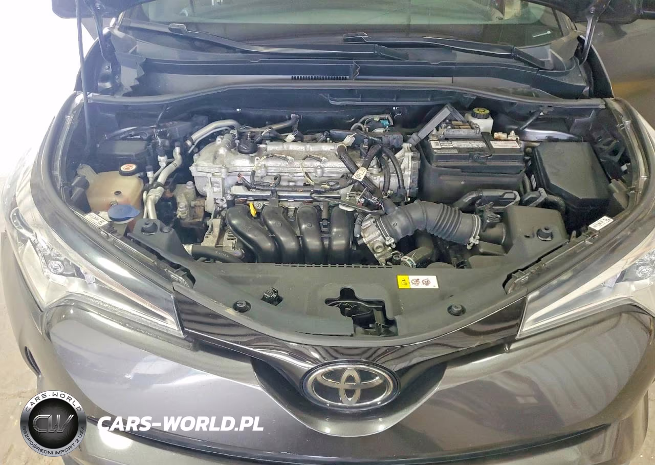2019 Toyota C-Hr Xle VIN:NMTKHMBX5KR068845 - 12