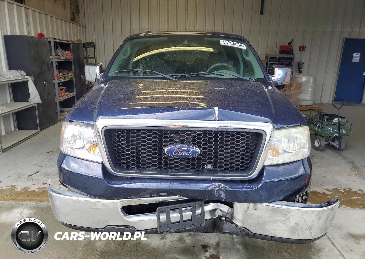 2006 Ford F150 VIN:1FTPX12V76NB78993 - 5