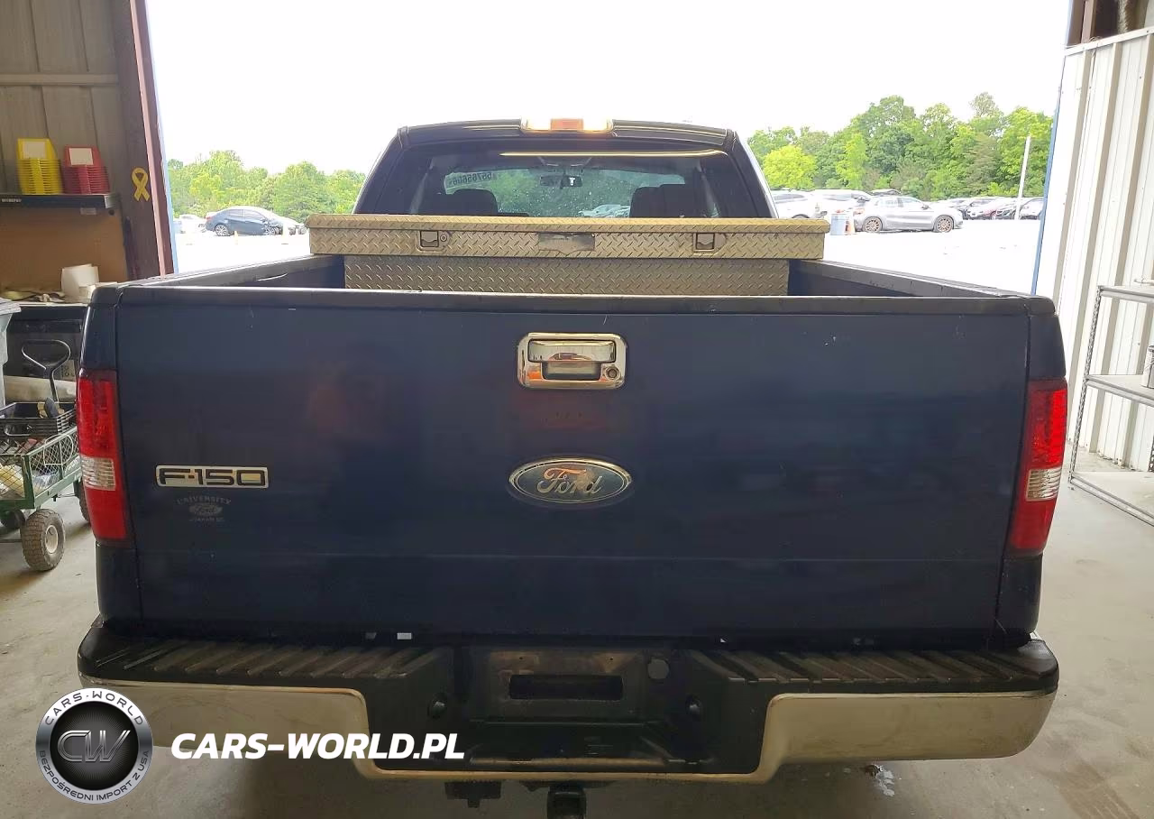 2006 Ford F150 VIN:1FTPX12V76NB78993 - 6
