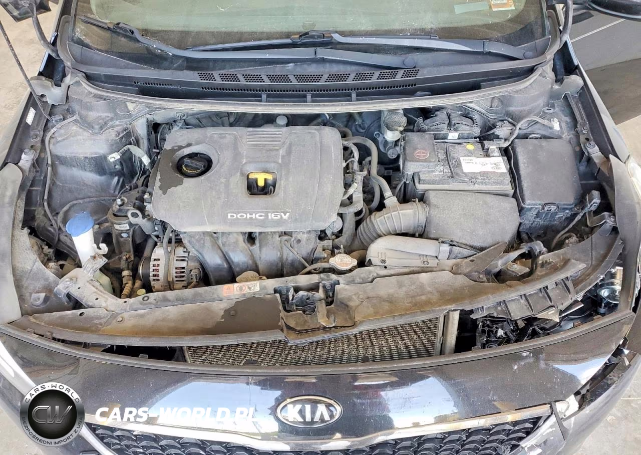 2017 Kia Forte Lx VIN:3KPFK4A70HE072133 - 11