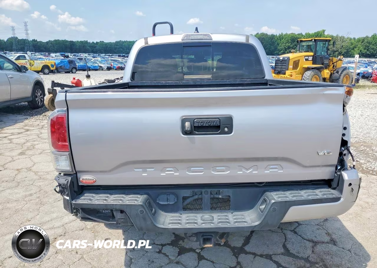 2020 Toyota Tacoma Trd Off-Road VIN:3TMCZ5AN2LM319931 - 6