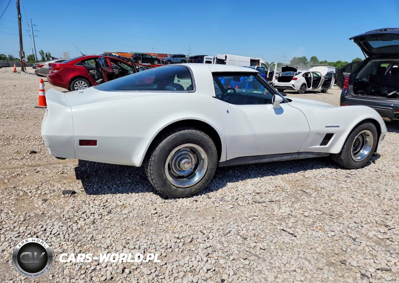 1982 Chevrolet Corvette VIN:1G1AY8781C5118677 - 3