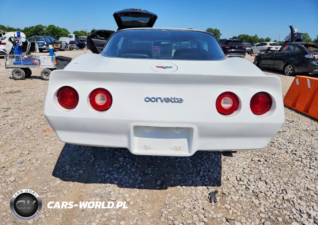 1982 Chevrolet Corvette VIN:1G1AY8781C5118677 - 6