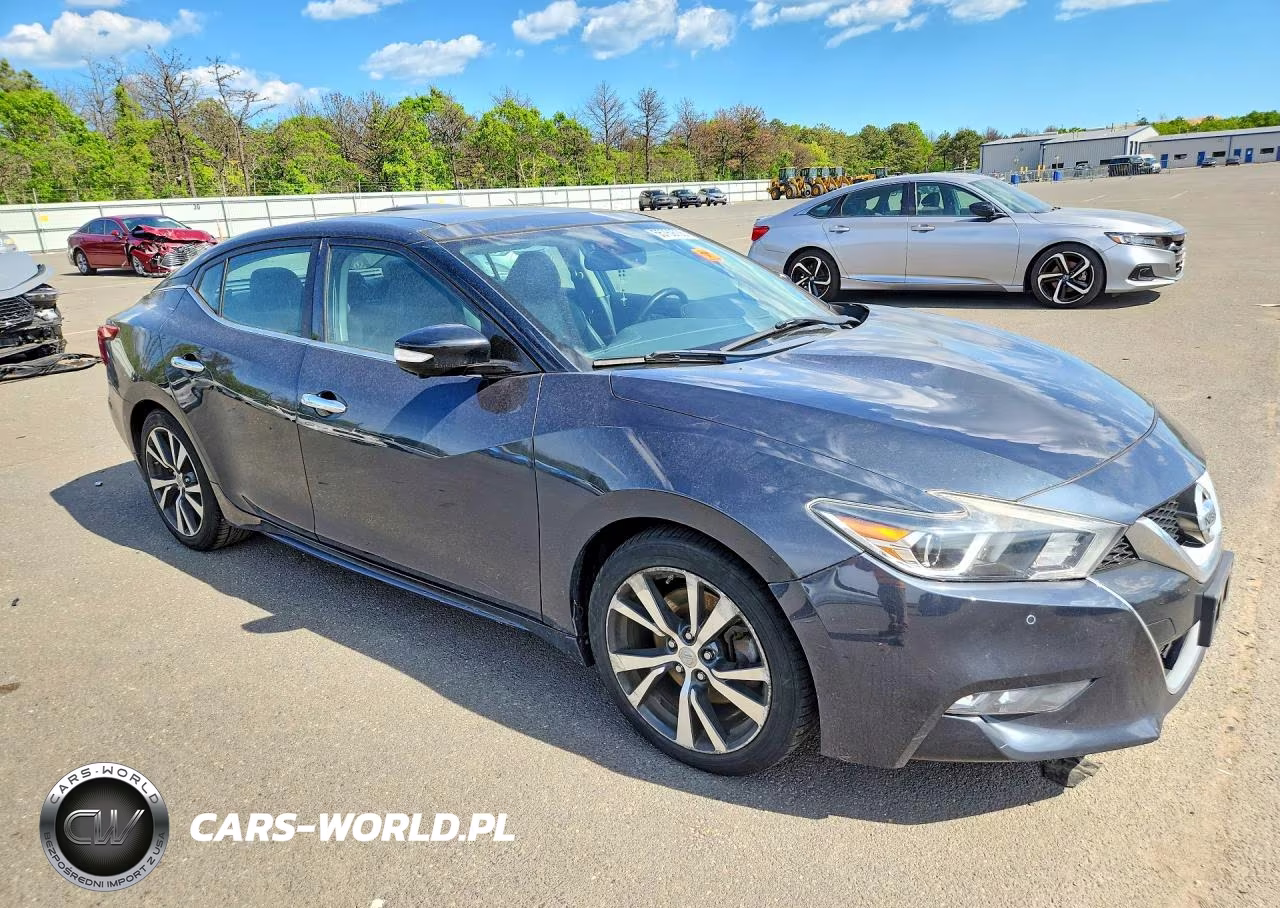 2017 Nissan Maxima Platinum VIN:1N4AA6AP0HC423080 - 4