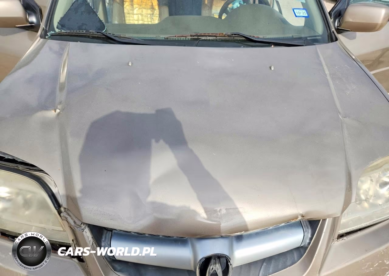 2004 Acura Mdx Touring VIN:2HNYD18684H531710 - 11