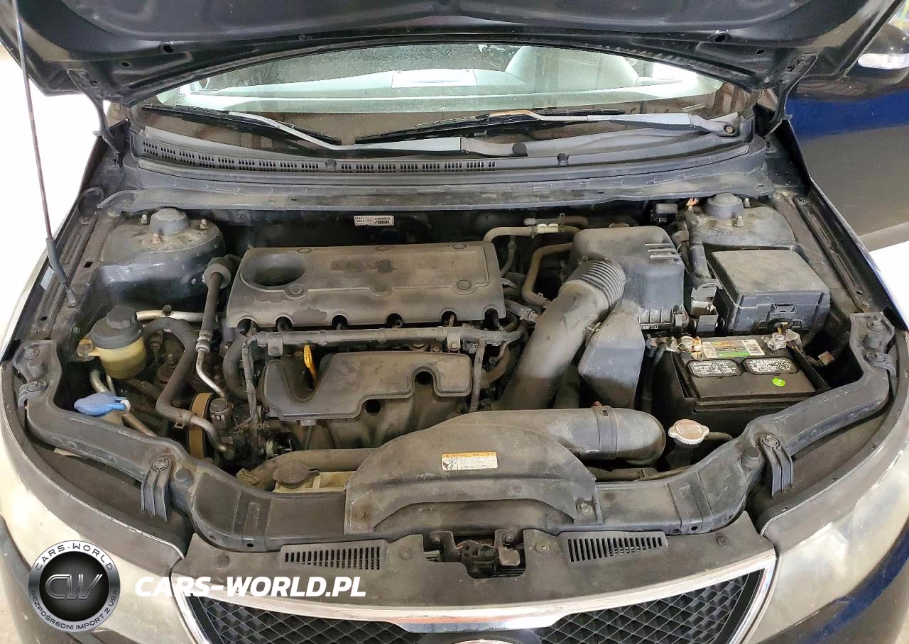 2010 Kia Forte Ex VIN:KNAFU4A23A5823559 - 11