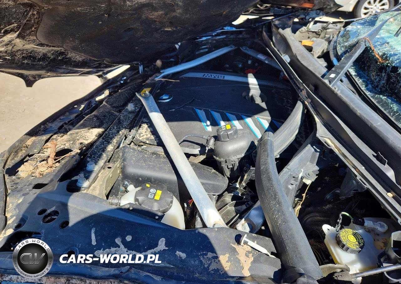 2023 BMW X5 xDrive45E VIN:5UXTA6C05P9P80123 - 12