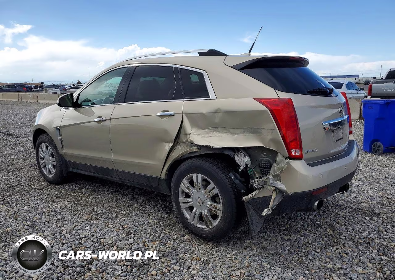 2011 Cadillac Srx Luxury Collection VIN:3GYFNDEY8BS528876 - 2