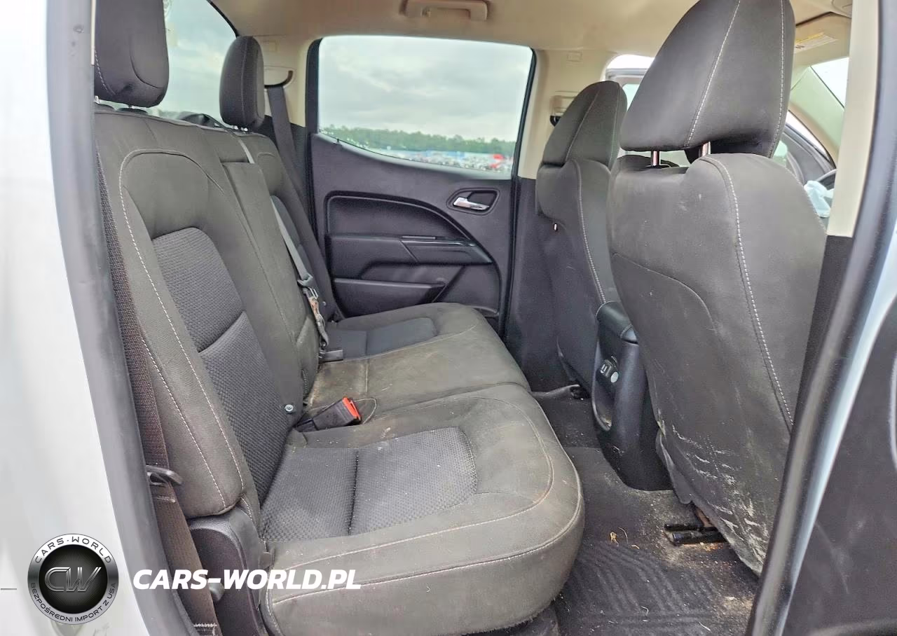 2019 Chevrolet Colorado Lt VIN:1GCGSCEN0K1112843 - 10