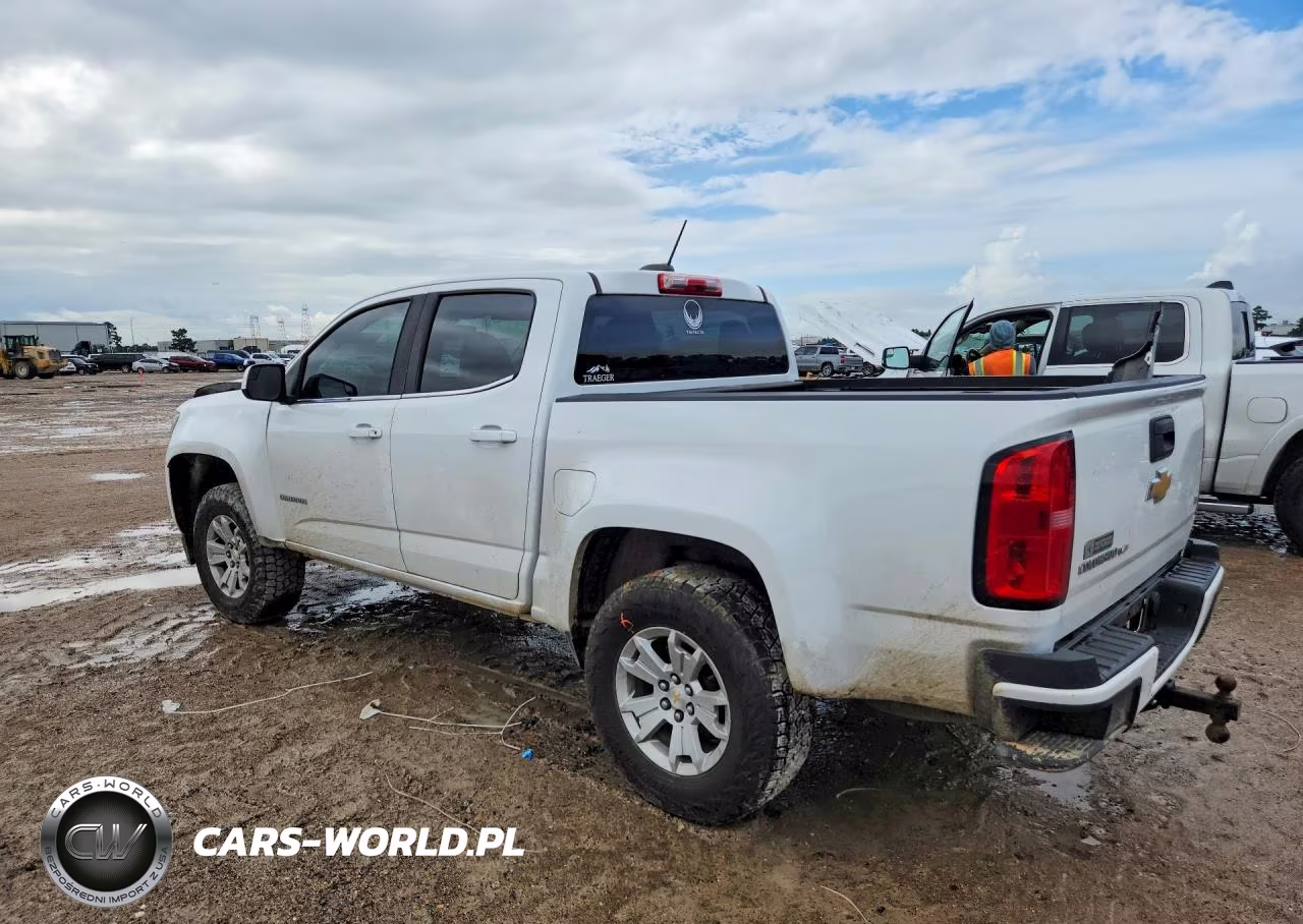 2019 Chevrolet Colorado Lt VIN:1GCGSCEN0K1112843 - 2