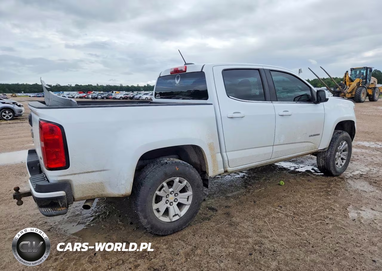 2019 Chevrolet Colorado Lt VIN:1GCGSCEN0K1112843 - 3