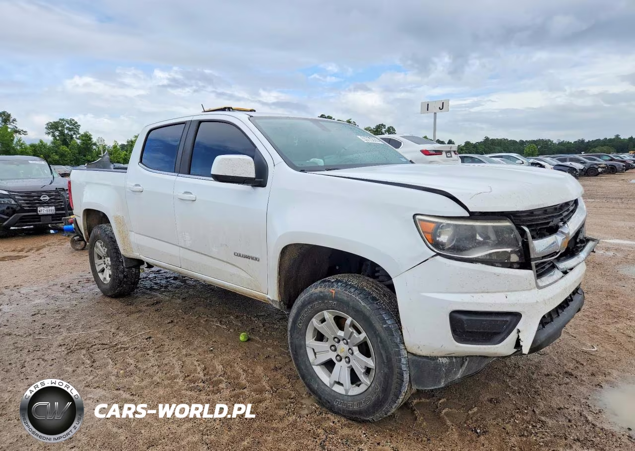 2019 Chevrolet Colorado Lt VIN:1GCGSCEN0K1112843 - 4