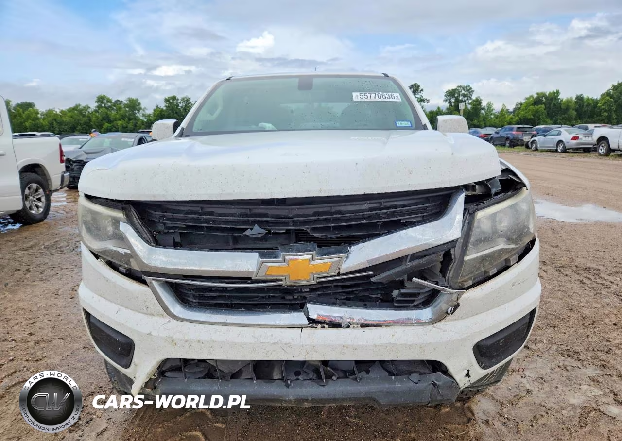2019 Chevrolet Colorado Lt VIN:1GCGSCEN0K1112843 - 5