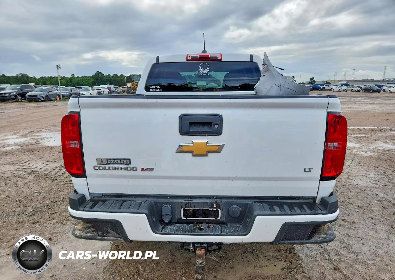 2019 Chevrolet Colorado Lt VIN:1GCGSCEN0K1112843 - 6