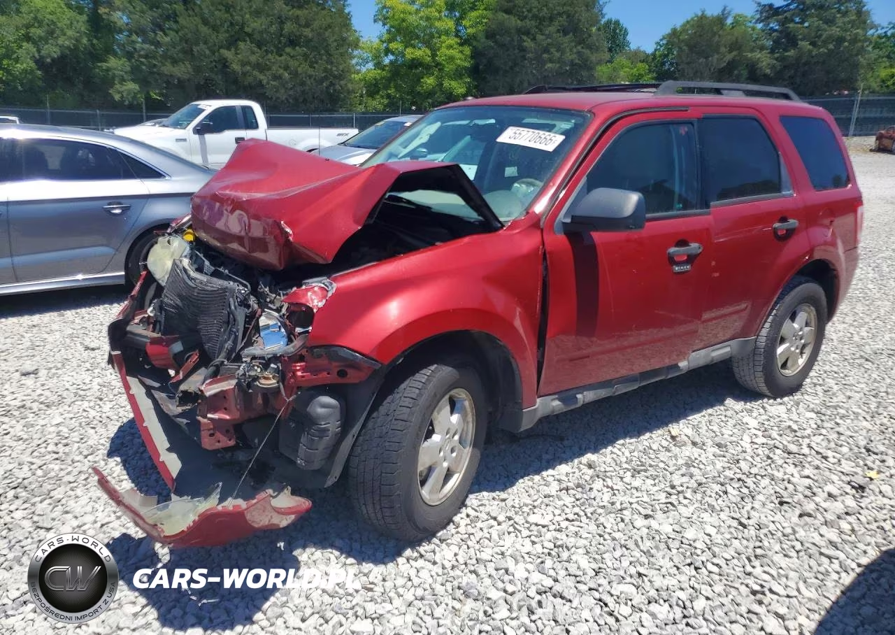 2010 Ford Escape Xlt