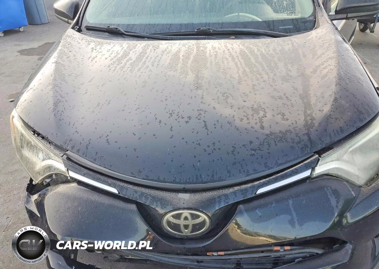 2017 Toyota Rav4 Le VIN:2T3ZFREV1HW337461 - 11