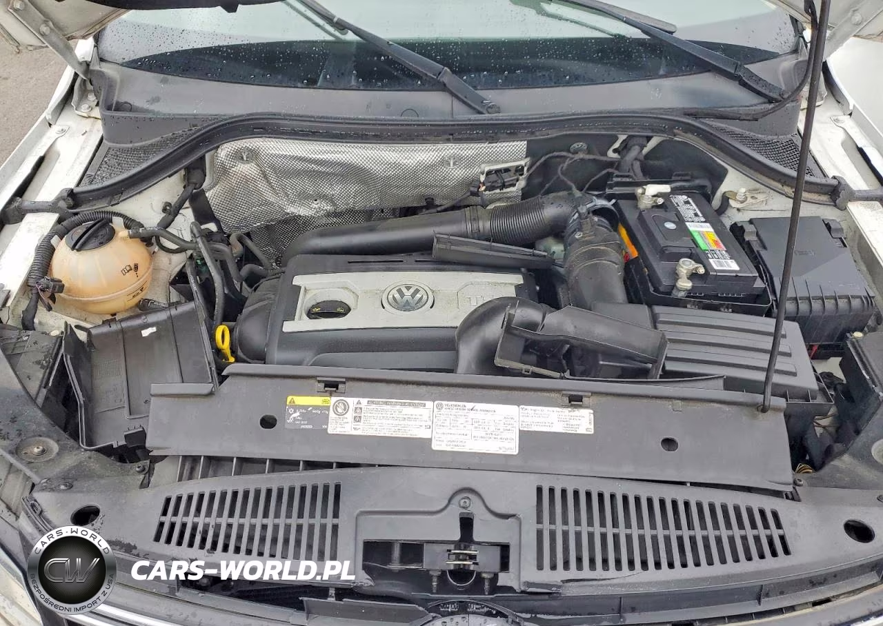 2016 Volkswagen Tiguan S VIN:WVGAV7AX5GW507411 - 11