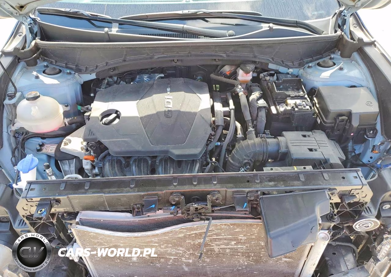2024 Hyundai Santa Cruz Sel VIN:5NTJB4AE6RH099540 - 11