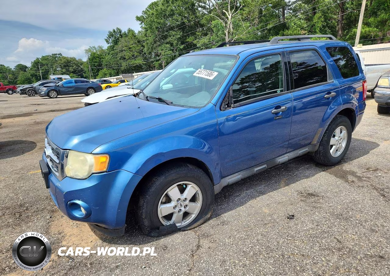 2010 Ford Escape Xlt