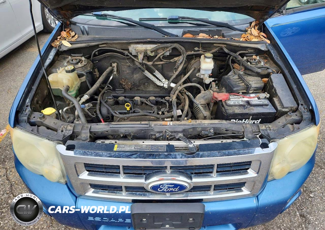 2010 Ford Escape Xlt VIN:1FMCU0D70AKB00920 - 11
