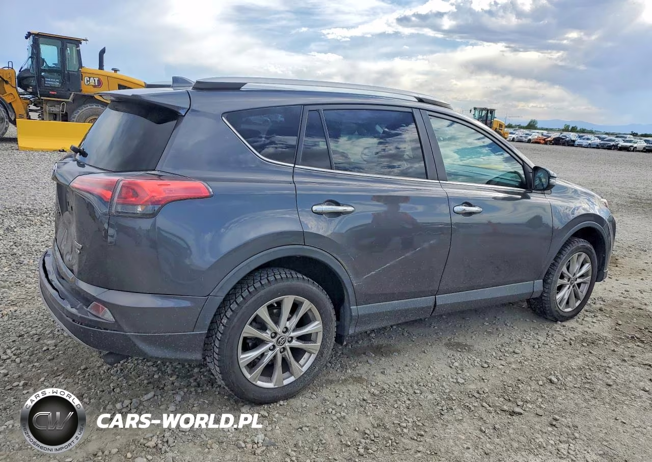 2018 Toyota Rav4 Limited VIN:2T3DFREVXJW845685 - 3