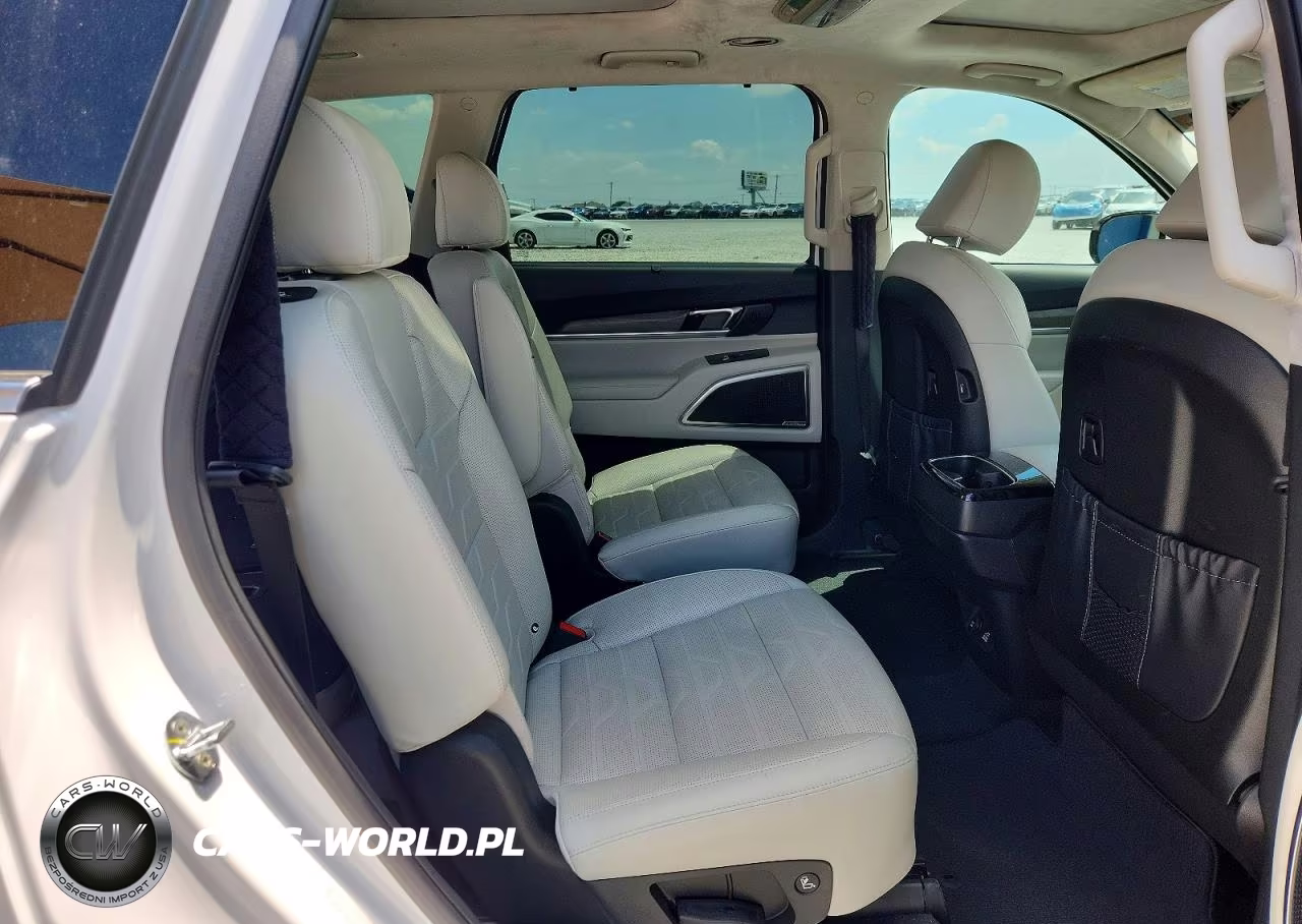 2022 Kia Telluride Sx VIN:5XYP5DHC3NG234009 - 11