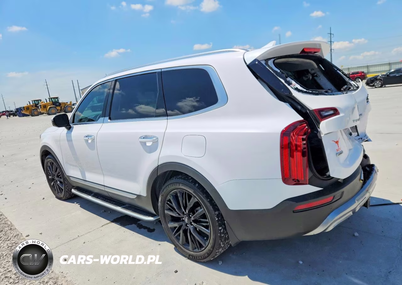 2022 Kia Telluride Sx VIN:5XYP5DHC3NG234009 - 2