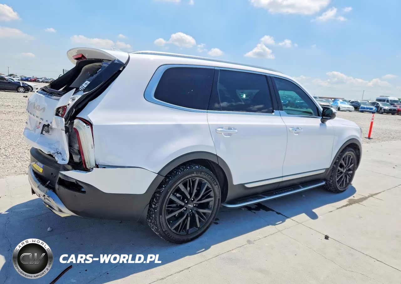 2022 Kia Telluride Sx VIN:5XYP5DHC3NG234009 - 3