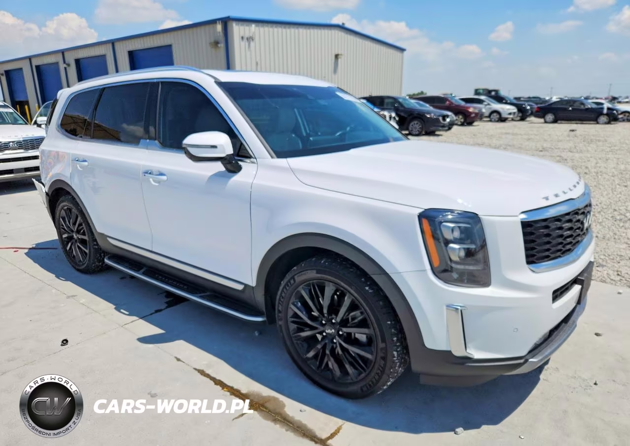 2022 Kia Telluride Sx VIN:5XYP5DHC3NG234009 - 4