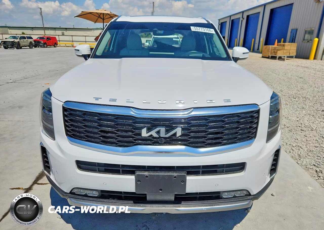2022 Kia Telluride Sx VIN:5XYP5DHC3NG234009 - 5