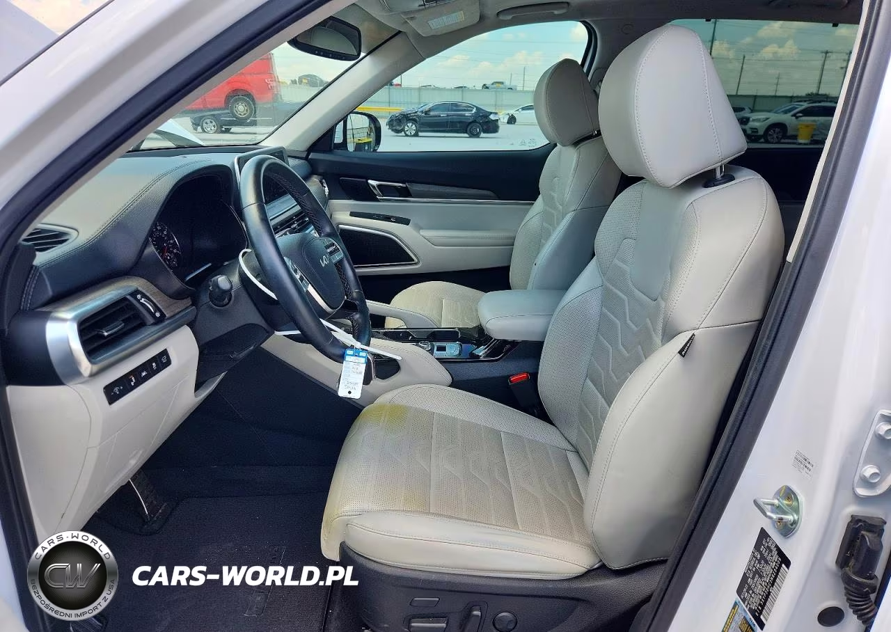 2022 Kia Telluride Sx VIN:5XYP5DHC3NG234009 - 7