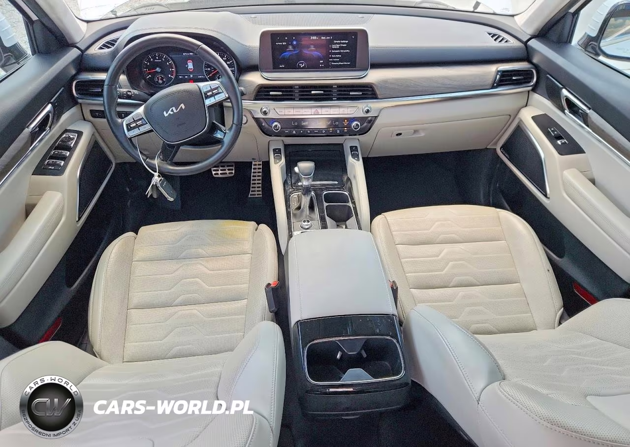 2022 Kia Telluride Sx VIN:5XYP5DHC3NG234009 - 8