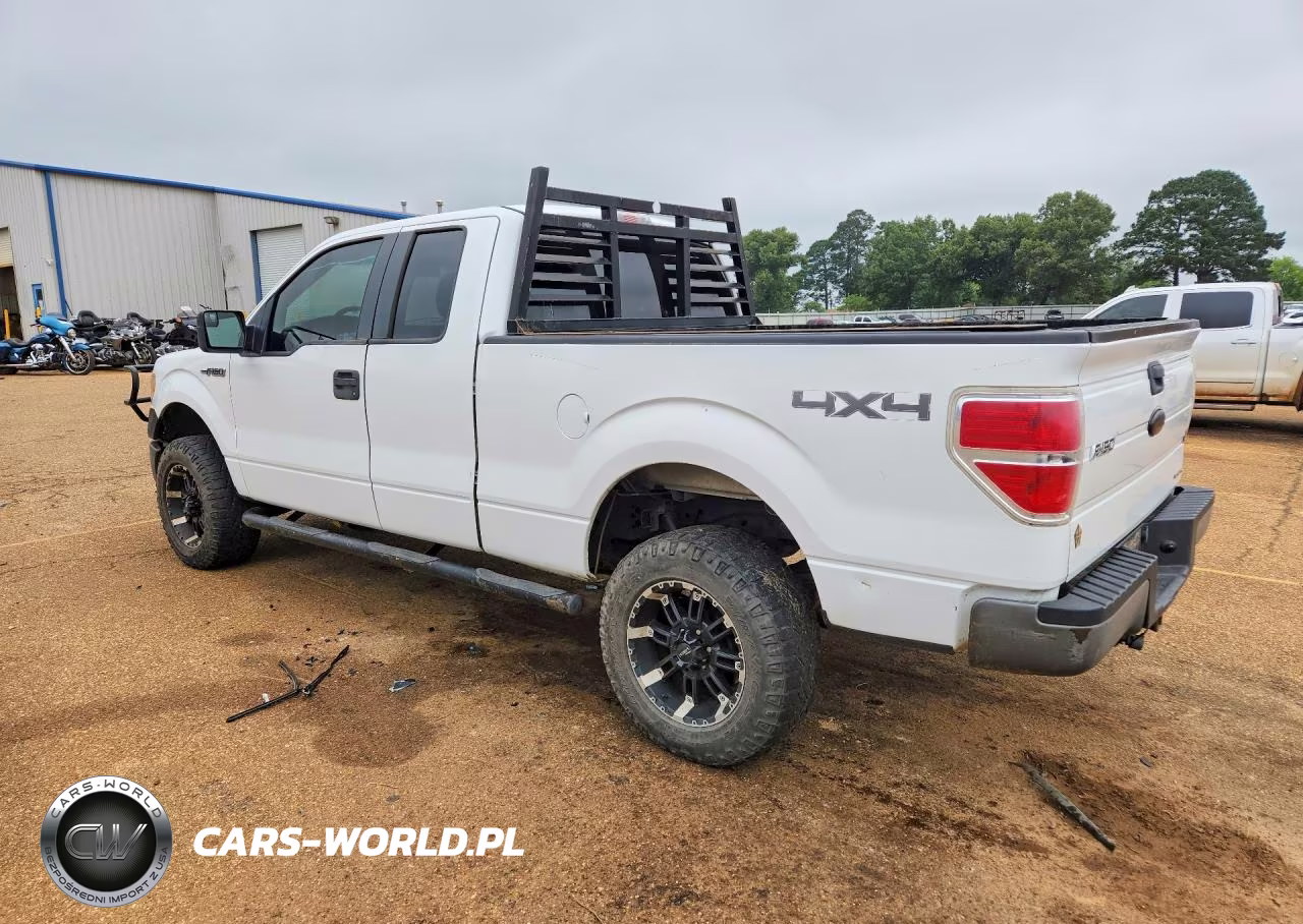 2011 Ford F-150 VIN:1FTFX1EF5BFB46399 - 2