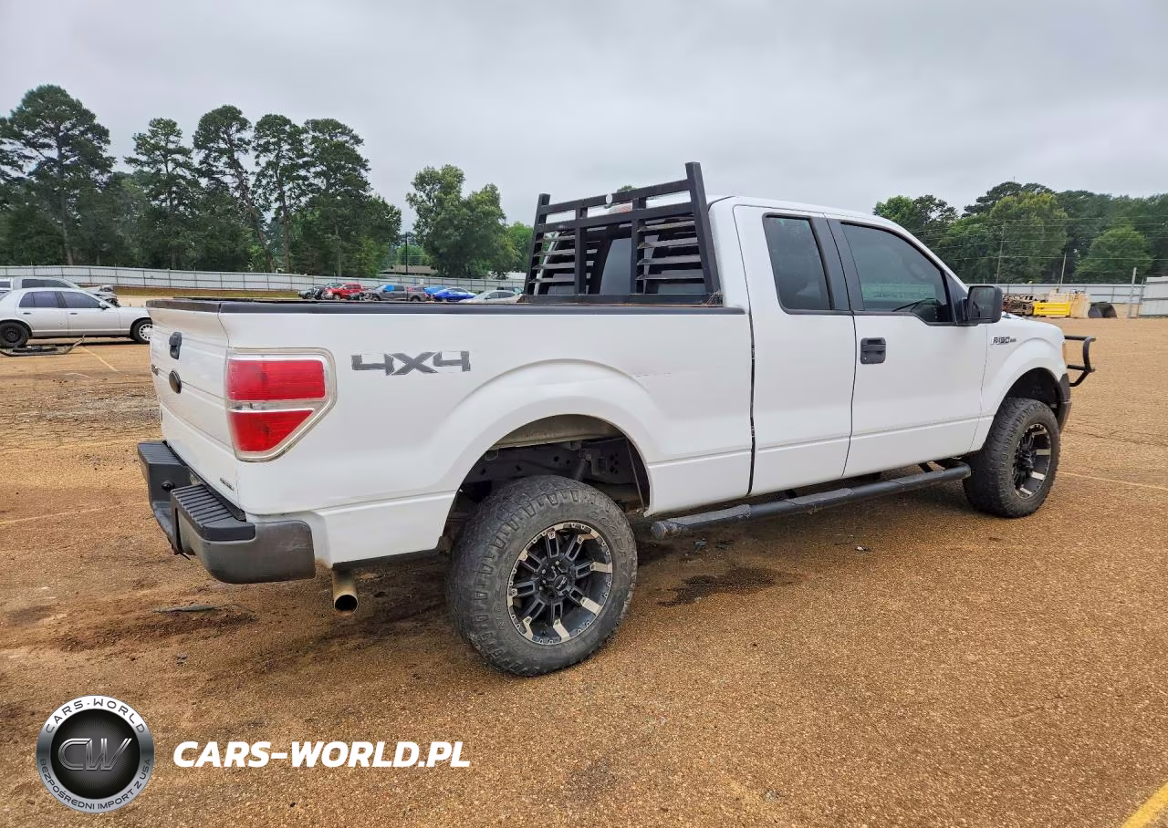 2011 Ford F-150 VIN:1FTFX1EF5BFB46399 - 3