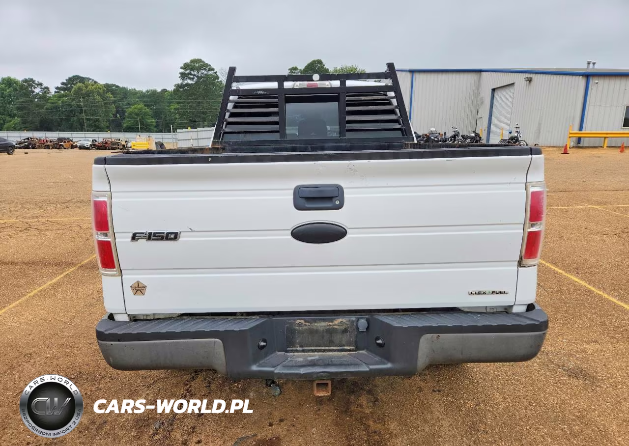 2011 Ford F-150 VIN:1FTFX1EF5BFB46399 - 6