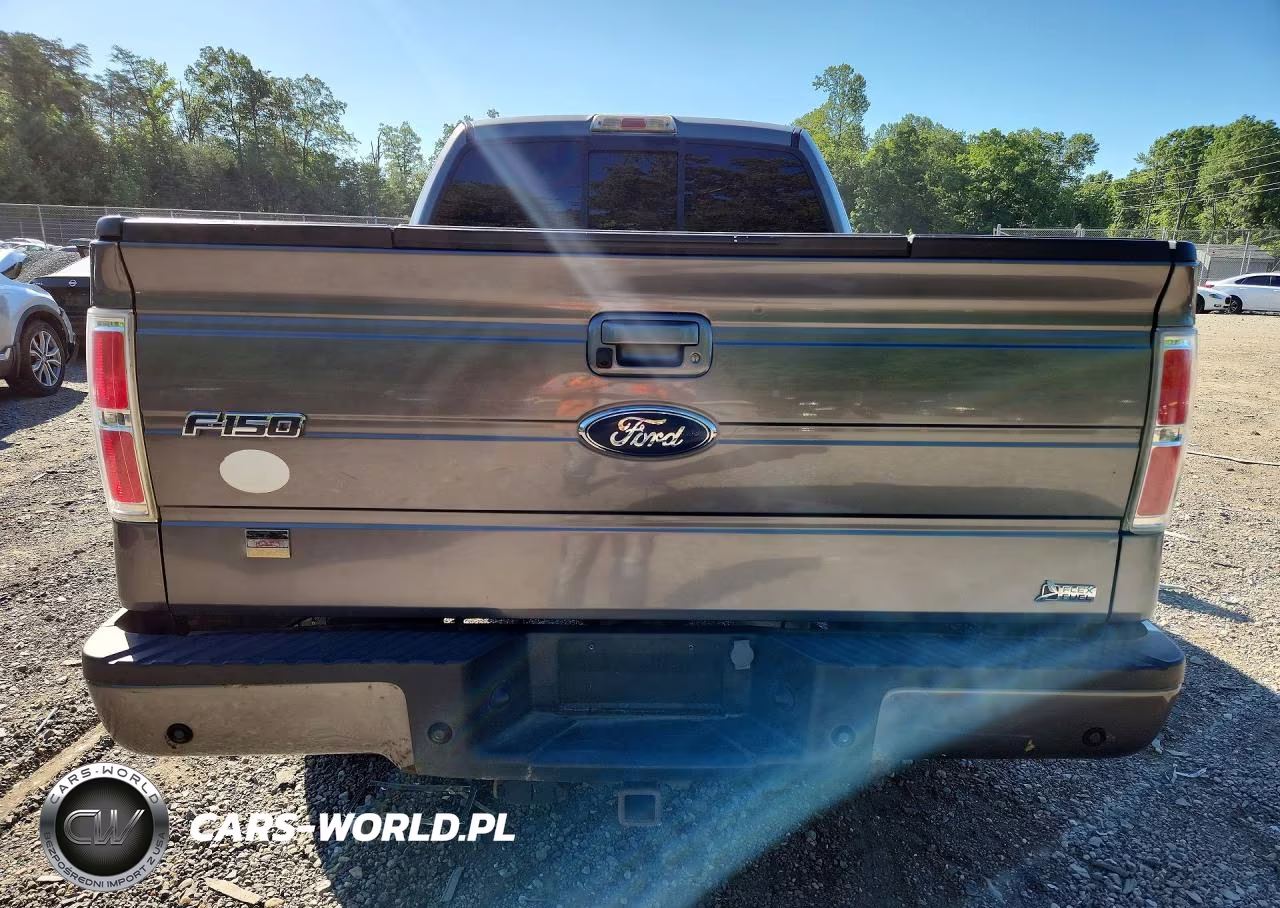 2010 Ford F150 Super Cab VIN:1FTFX1EV1AFC76055 - 6