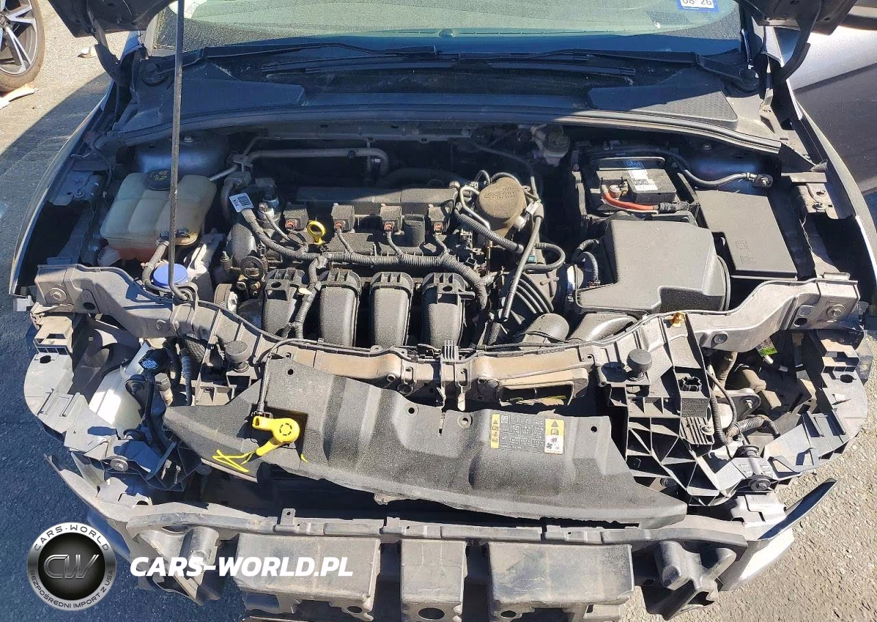2014 Ford Focus Se VIN:1FADP3F21EL440103 - 11