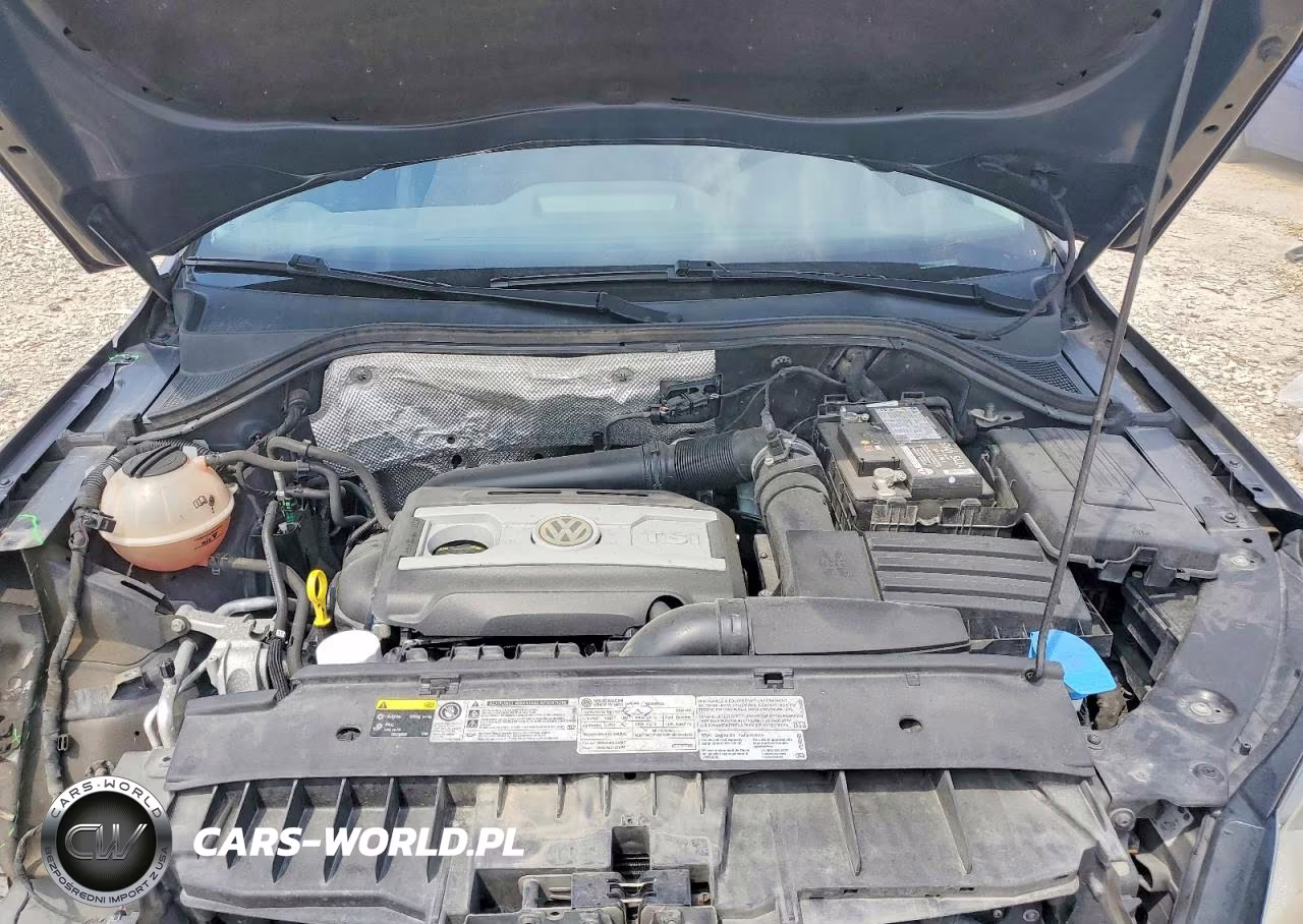 2016 Volkswagen Tiguan S VIN:WVGBV7AX8GW568465 - 12