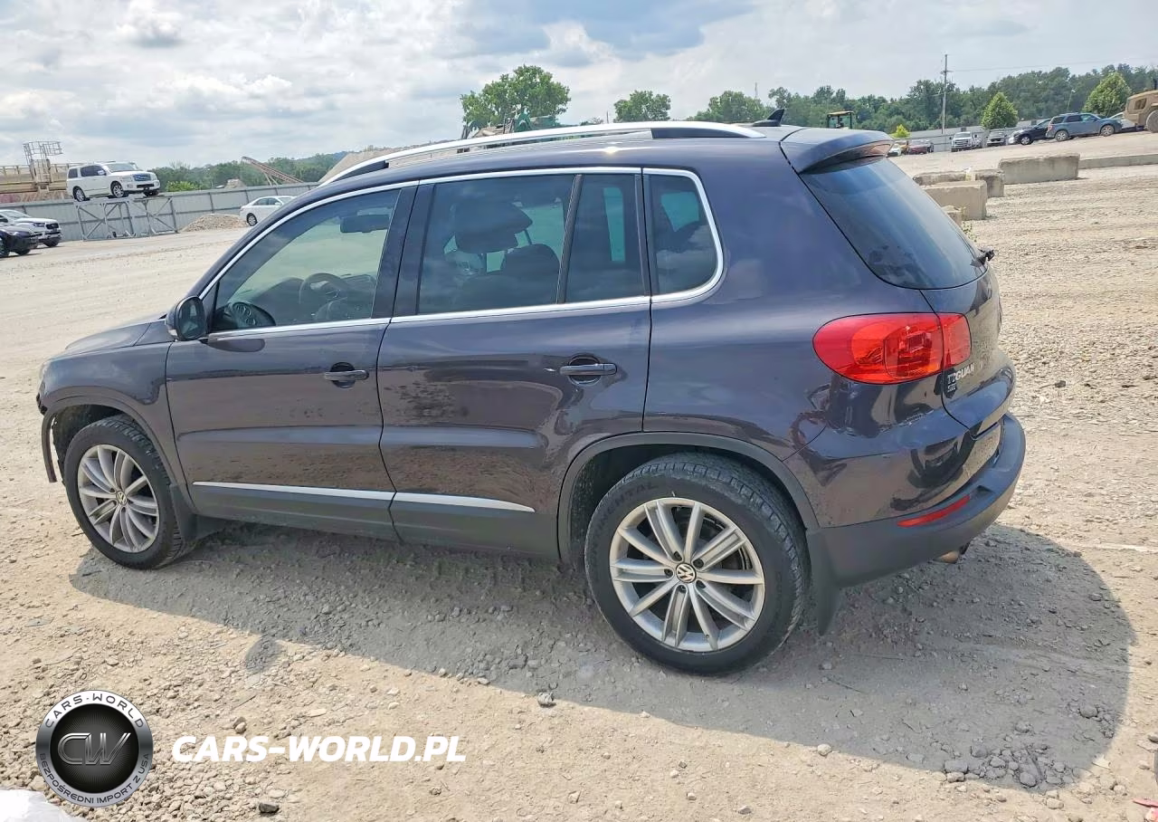 2016 Volkswagen Tiguan S VIN:WVGBV7AX8GW568465 - 2