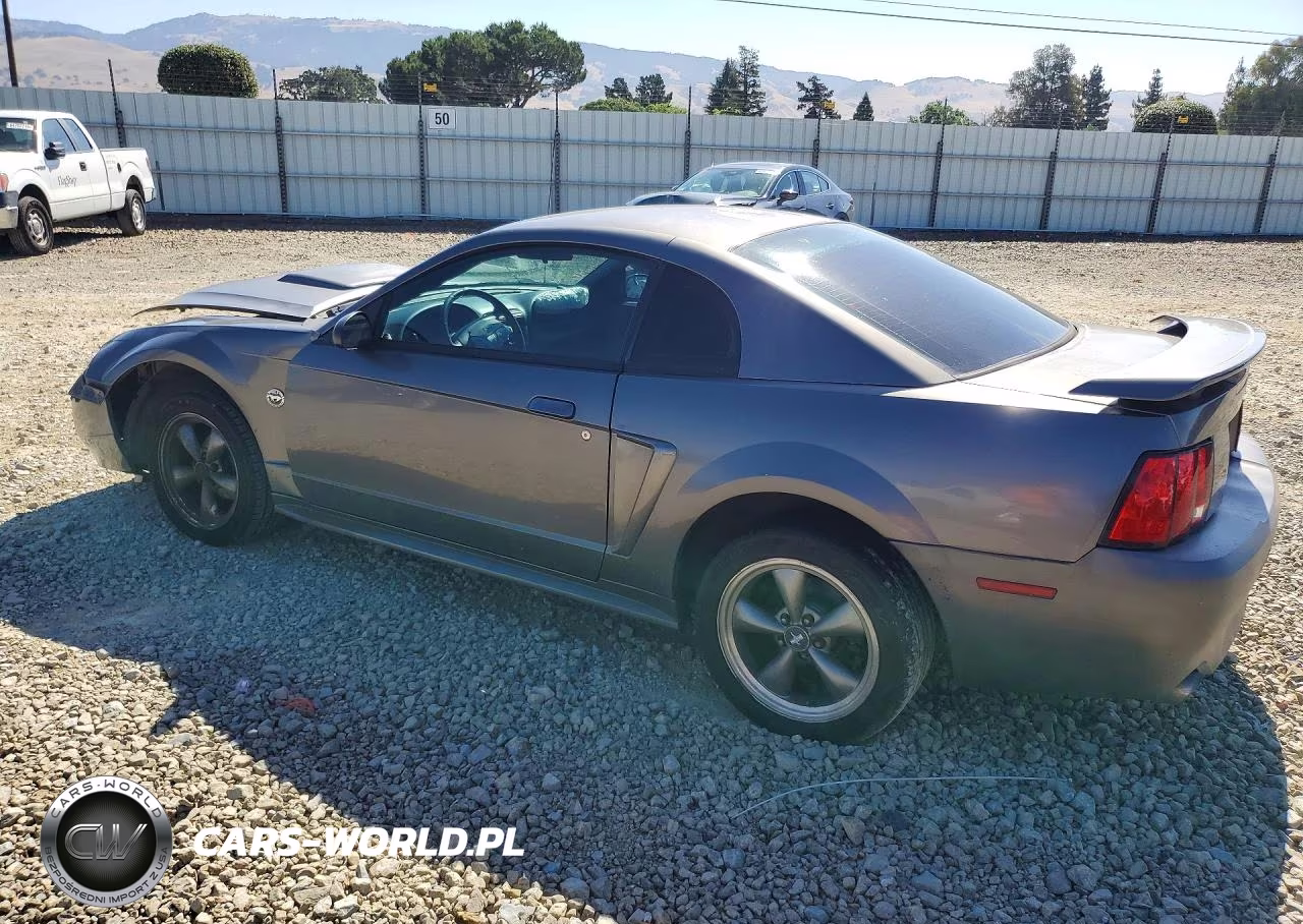 2004 Ford Mustang VIN:1FAFP40664F212699 - 2