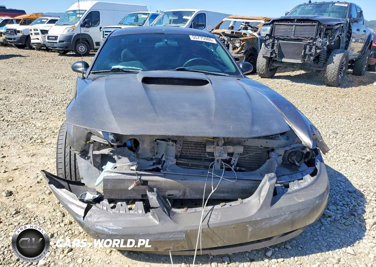 2004 Ford Mustang VIN:1FAFP40664F212699 - 5