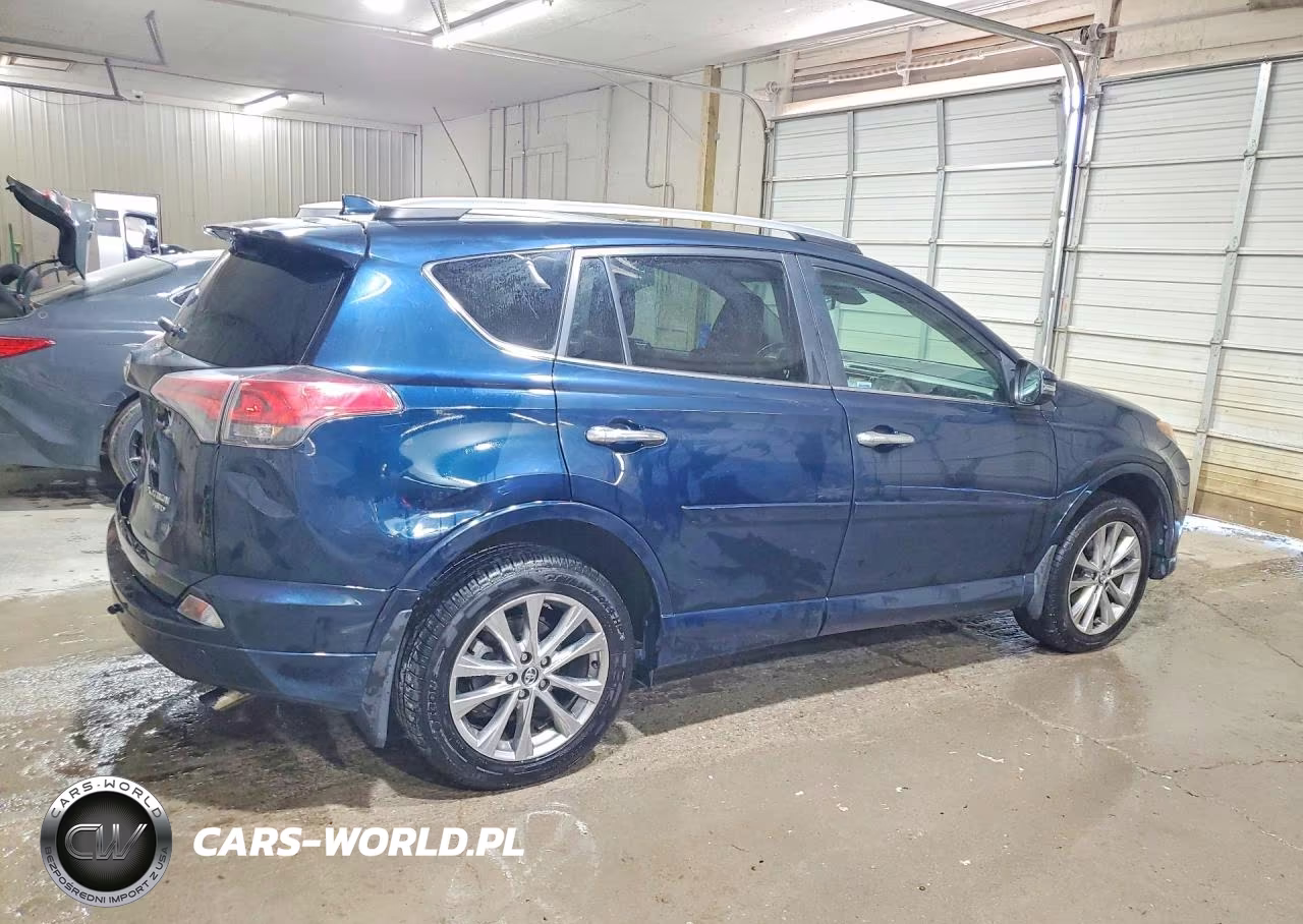 2017 Toyota Rav4 Platinum VIN:2T3DFREVXHW607703 - 3